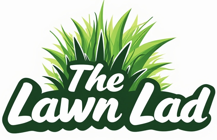 The Lawn Lad – Professional Lawn Care Services